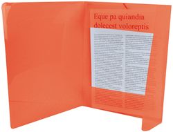 Carpeta Liderpapel Gomas Solapas 34960 Polipropileno Din A4 Roja Transparente