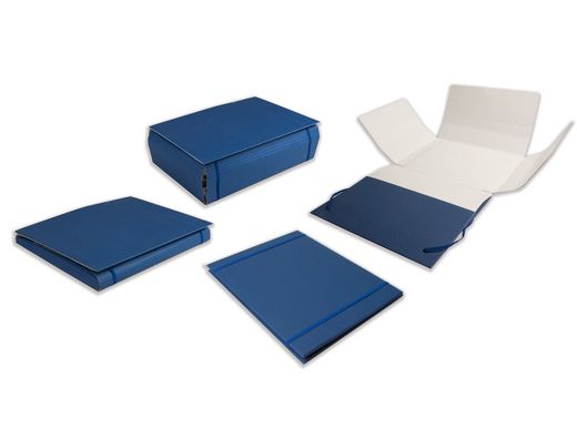 Carpeta Proyectos Liderpapel Extensible Gofrada Folio