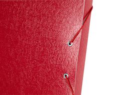 Carpeta Proyectos Liderpapel Folio Lomo 30Mm Carton Gofrado Roja