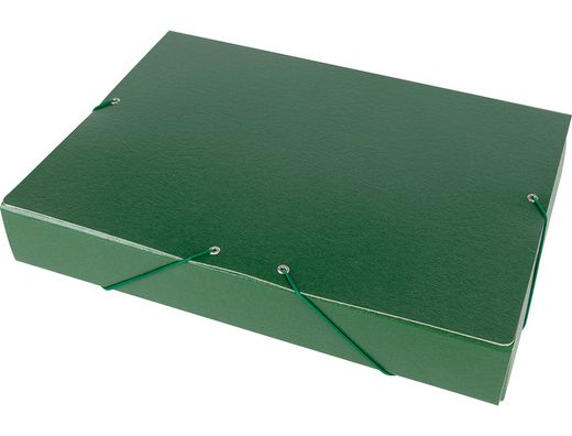 Carpeta Proyectos Liderpapel Folio Lomo 50Mm Carton Gofrado Verde