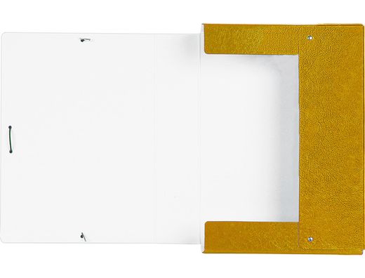Carpeta Proyectos Liderpapel Folio Lomo 70Mm Carton Gofrado Amarilla
