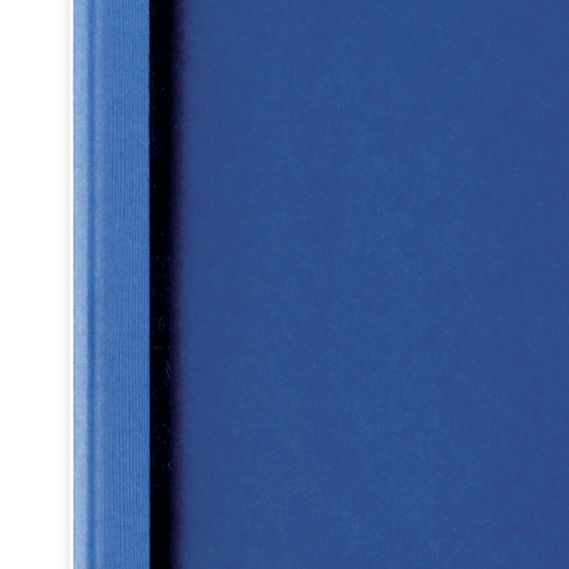 Carpeta térmica IBILEATHER GBC 3 mm (Caja 100), azul