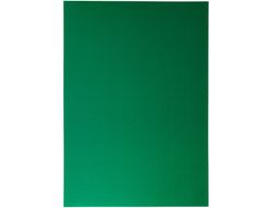 Carton Ondulado Liderpapel 50 X 70Cm 320G/M2 Verde Hoja
