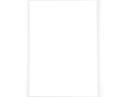 Carton Pluma Liderpapel Doble Cara 100X140 cm Espesor 5 Mm
