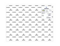 Cartulina Guarro Blanca -50X65 Cm -185 Gr
