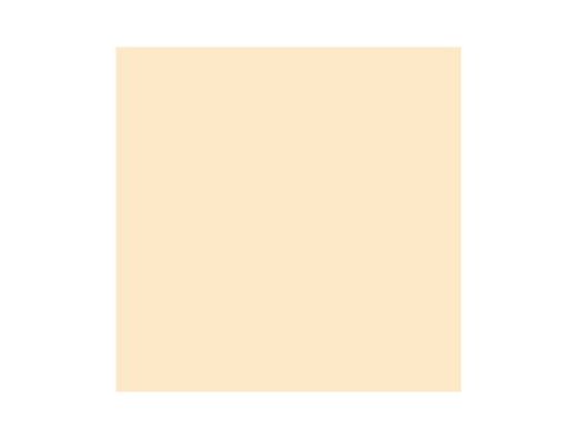 Cartulina Guarro Carne 50X65 Cm 185 Gr