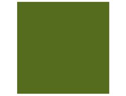 Cartulina guarro din A4 verde safari 185 gr paquete de 50 h