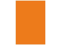 Cartulina Guarro Mandarina 50X65 cm 185 Grs