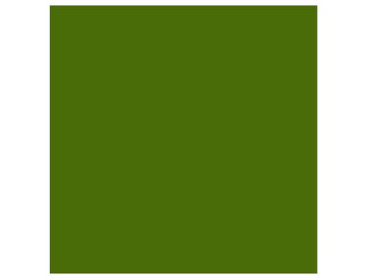 Cartulina Guarro Verde Safari 50X65 Cm 185 Gr