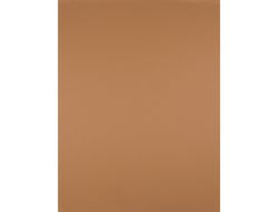 Cartulina Liderpapel 50X65 180 Gr Marron Escolar Paquete de 25
