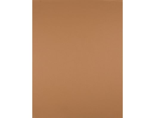 Cartulina Liderpapel 50X65 180 Gr Marron Escolar Paquete de 25