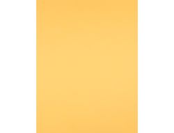 Cartulina Liderpapel 50X65 180 Gr Oro Paquete de 25