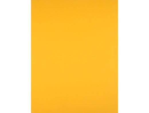 Cartulina Liderpapel 50X65 180 Gr Oro Viejo Paquete de 25
