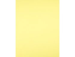 Cartulina Liderpapel 50X65 cm 180 Gr Amarillo Medio Unidad