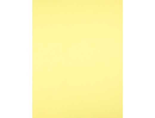 Cartulina Liderpapel 50X65 cm 180 Gr Amarillo Medio Unidad