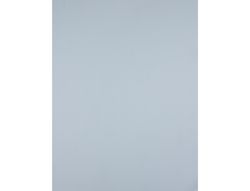 Cartulina Liderpapel 50X65 cm 180 Gr Gris Unidad