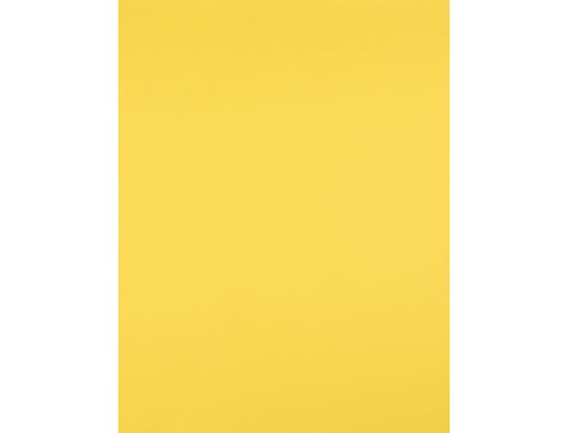 Cartulina Liderpapel 50X65 cm 180G/M2 Amarillo Limon Paquete de 25