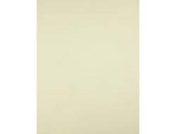 Cartulina Liderpapel 50X65 cm 180G/M2 Amarillo Paquete de 25