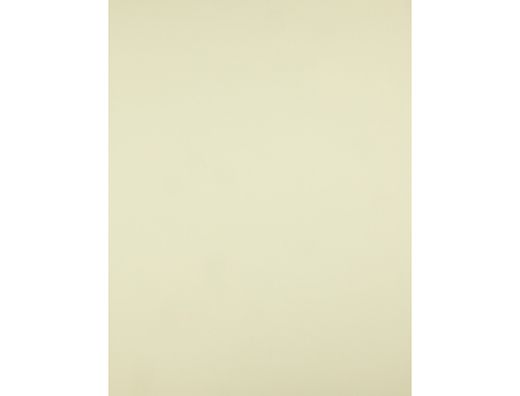 Cartulina Liderpapel 50X65 cm 180G/M2 Amarillo Paquete de 25
