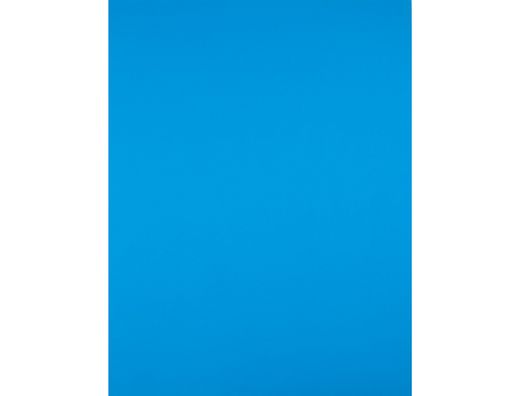 Cartulina Liderpapel 50X65 cm 180G/M2 Azul