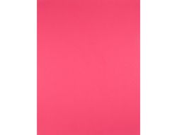 Cartulina Liderpapel 50X65 cm 180G/M2 Fucsia