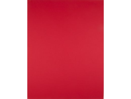 Cartulina Liderpapel 50X65 cm 180G/M2 Rojo Navidad Paquete de 25
