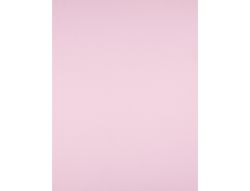 Cartulina Liderpapel 50X65 cm 180G/M2 Rosa