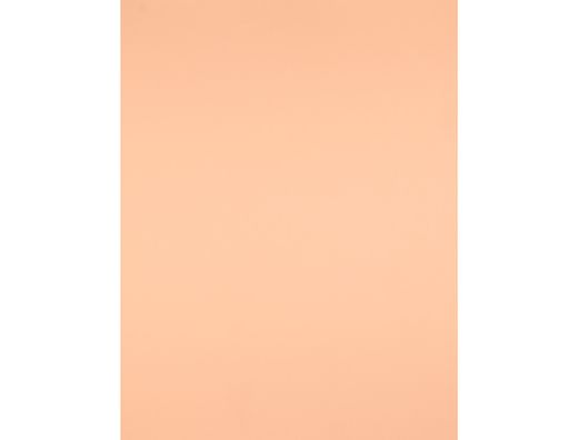 Cartulina Liderpapel 50X65 cm 180G/M2 Sepia