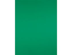 Cartulina Liderpapel 50X65 cm 180G/M2 Verde Navidad Paquete de 25