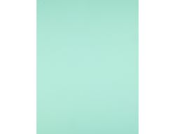 Cartulina Liderpapel 50X65 cm 180G/M2 Verde Paquete de 25