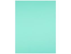 Cartulina Liderpapel 50X65 cm 180G/M2 Verde