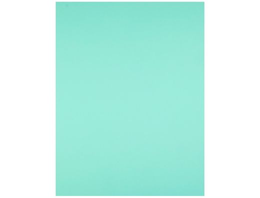 Cartulina Liderpapel 50X65 cm 180G/M2 Verde