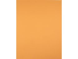 Cartulina liderpapel 50x65 cm 240 g/m2 avellana