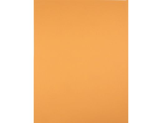Cartulina liderpapel 50x65 cm 240 g/m2 avellana