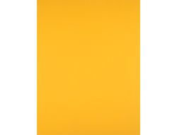 Cartulina Liderpapel 50X65 cm 240 G/M2 Oro Viejo