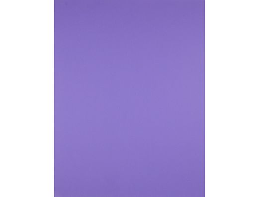 Cartulina Liderpapel 50X65 cm 240 G/M2 Violeta