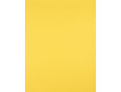 Cartulina Liderpapel 50X65 cm 240G/M2 Amarillo Limon Paquete de 25 Unidades
