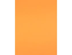 Cartulina Liderpapel 50X65 cm 240G/M2 Nectarina Paquete de 25 Unidades