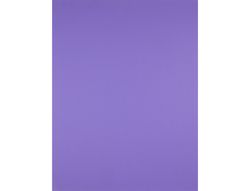 Cartulina Liderpapel 50X65 cm 240G/M2 Purpura Paquete de 25 Unidades