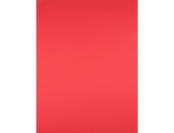Cartulina Liderpapel 50X65 cm 240G/M2 Rojo