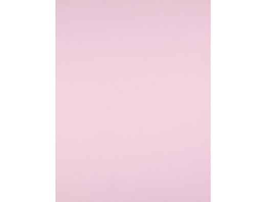 Cartulina Liderpapel 50X65 cm 240G/M2 Rosa Paquete de 25 Unidades