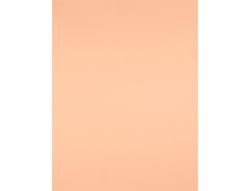 Cartulina Liderpapel 50X65 cm 240G/M2 Sepia Paquete de 25 Unidades