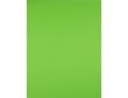 Cartulina Liderpapel 50X65 cm 240G/M2 Verde Hierba