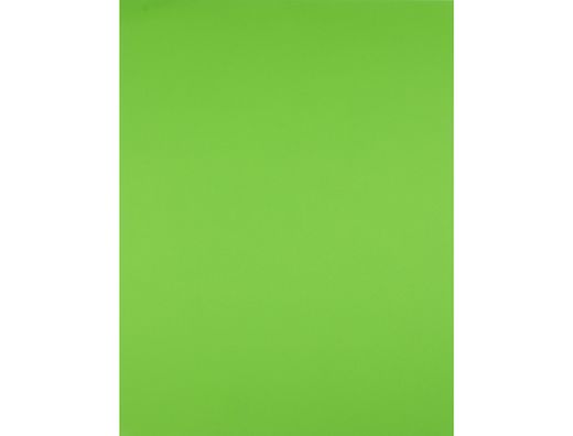 Cartulina Liderpapel 50X65 cm 240G/M2 Verde Hierba
