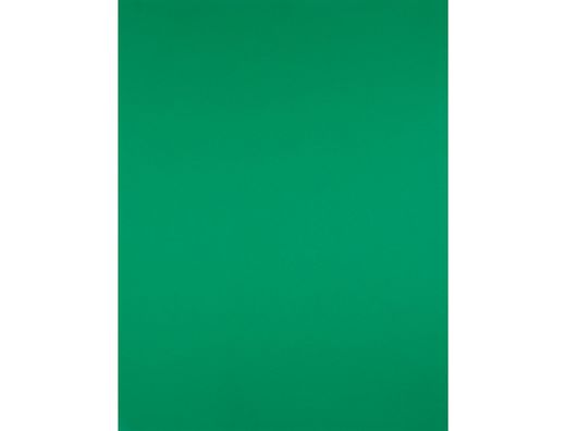 Cartulina Liderpapel 50X65 cm 240G/M2 Verde Navidad Paquete de 25 Unidades
