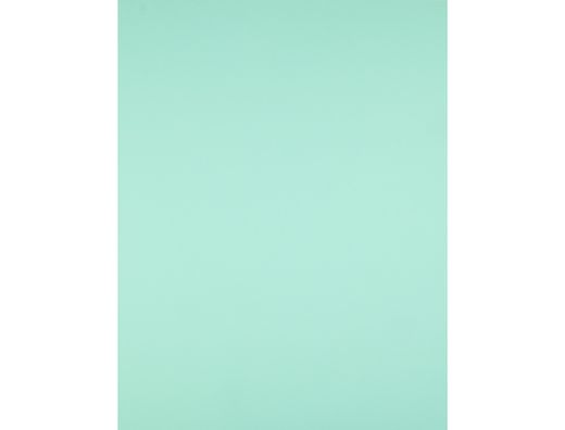 Cartulina Liderpapel 50X65 cm 240G/M2 Verde Paquete de 25 Unidades