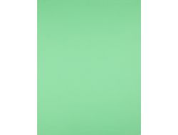 Cartulina Liderpapel 50X65 cm 240G/M2 Verde Pistacho