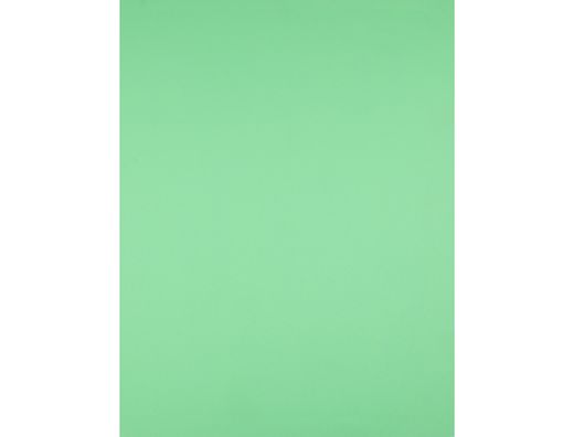Cartulina Liderpapel 50X65 cm 240G/M2 Verde Pistacho