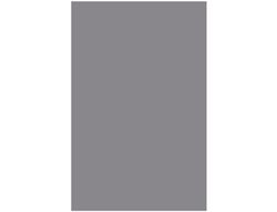 Cartulina Liderpapel 50X65 cm Gris 240 Gr Unidad