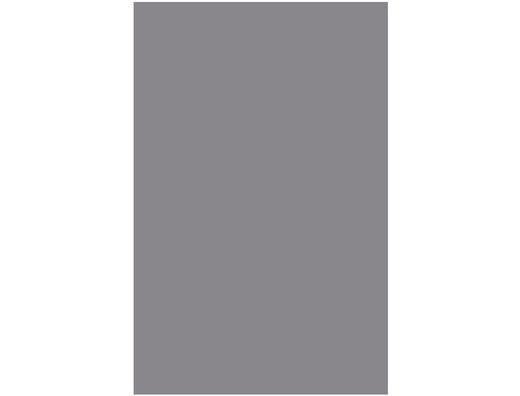 Cartulina Liderpapel 50X65 cm Gris 240 Gr Unidad
